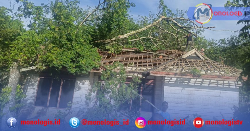 Angin Kencang Landa Mesuji, Pohon Besar Timpa Rumah Warga