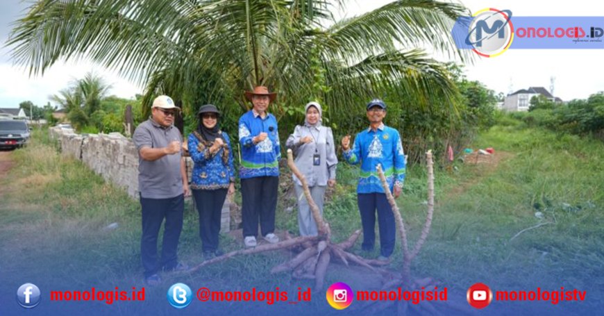 Unila Hasilkan Singkong Unggul dengan Inovasi Teknik Sambung