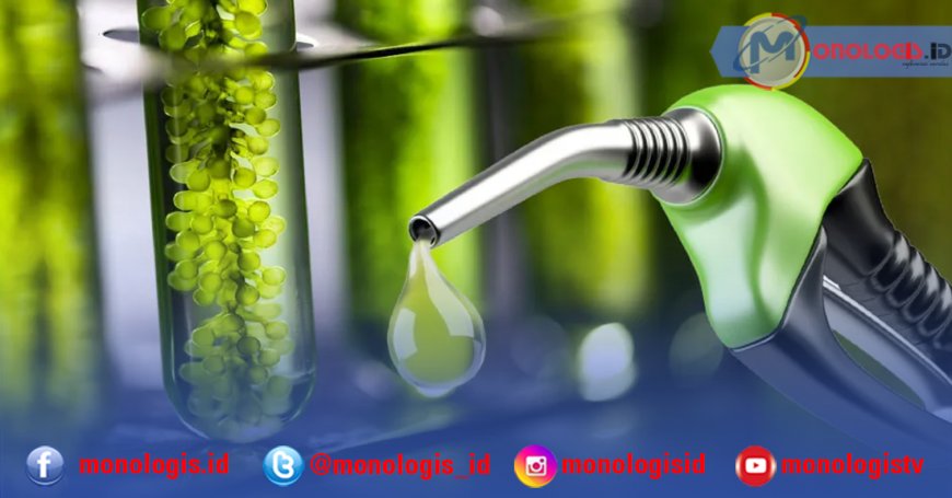 ‎Lampung Disiapkan Jadi Sentra Pengembangan Industri Bioetanol ‎