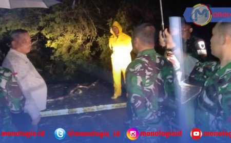 Dandim Tinjau Jembatan Way Nugrik Tulangbawang Udik yang Putus Akibat Banjir