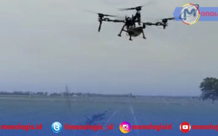 Petani Mesuji Gunakan Drone Basmi Hama Padi