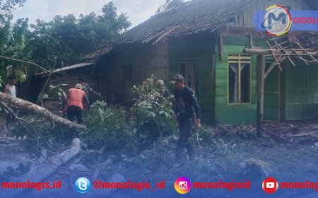 Pohon Karet Tumbang Timpa Rumah Warga, Pemdes Pekurun Udik Gerak Cepat