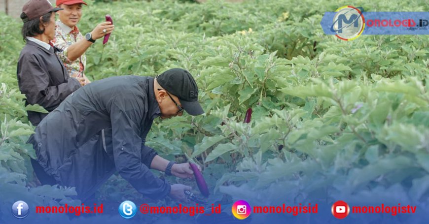 Pemprov Lampung Siap Lindungi Stabilitas Harga Jual Petani