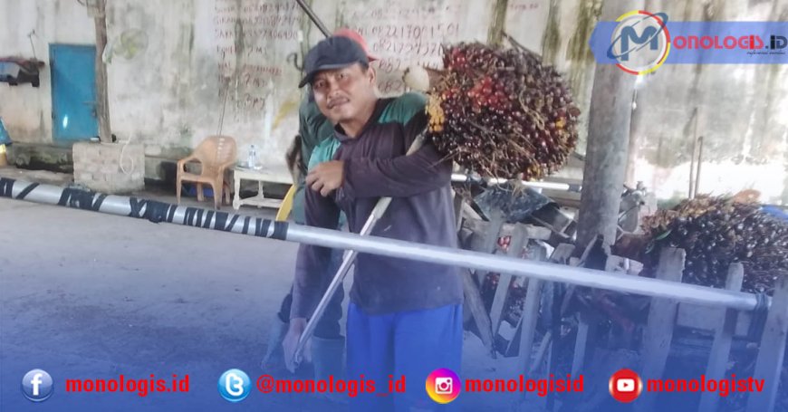 Harga Sawit Naik, Petani Mesuji Semringah