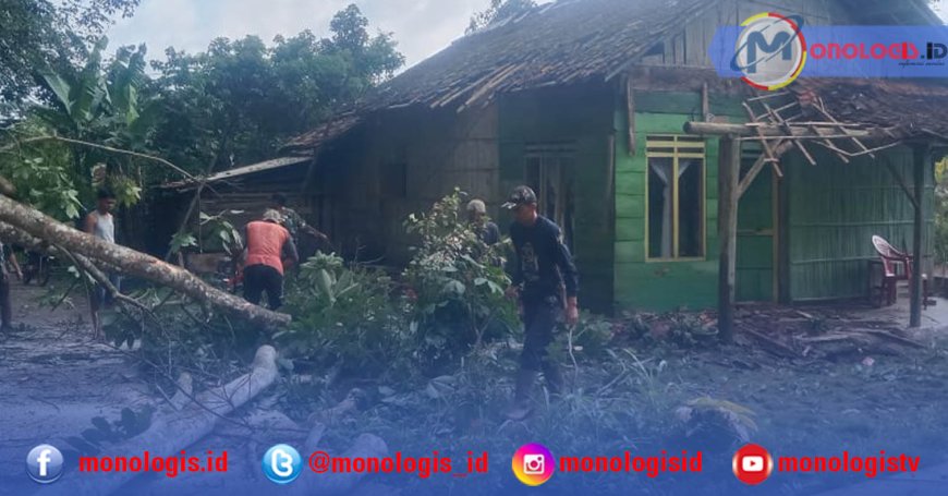 Pohon Karet Tumbang Timpa Rumah Warga, Pemdes Pekurun Udik Gerak Cepat