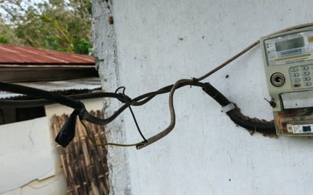 PLN Bongkar Dugaan Pencurian Listrik PT HIM