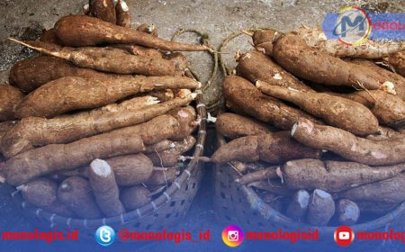 Gubernur Lampung Apresiasi Industri Patuh Pergub Singkong