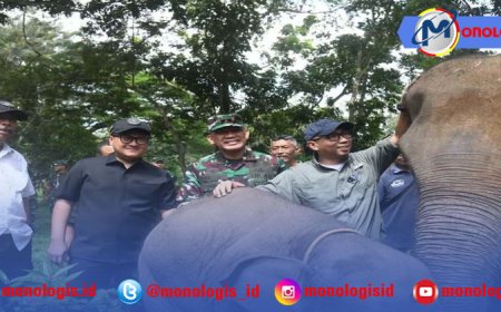 Giri Akbar Soroti Konflik Gajah Way Kambas, DPRD Lampung Siap Kawal Pagar Permanen