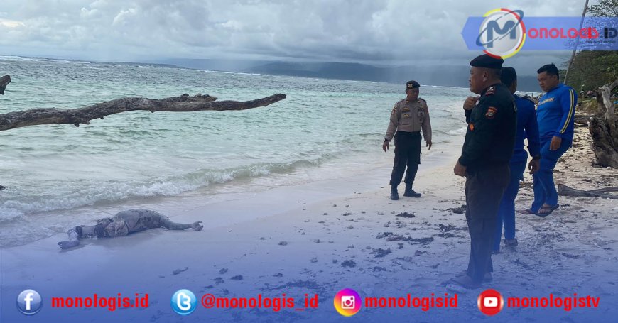 Mayat Tanpa Kepala Terdampar di Pantai Krui
