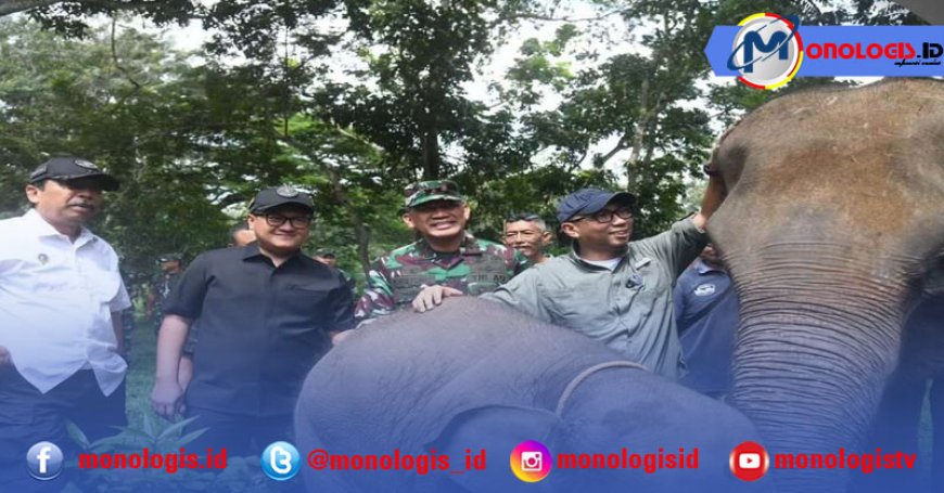 Giri Akbar Soroti Konflik Gajah Way Kambas, DPRD Lampung Siap Kawal Pagar Permanen