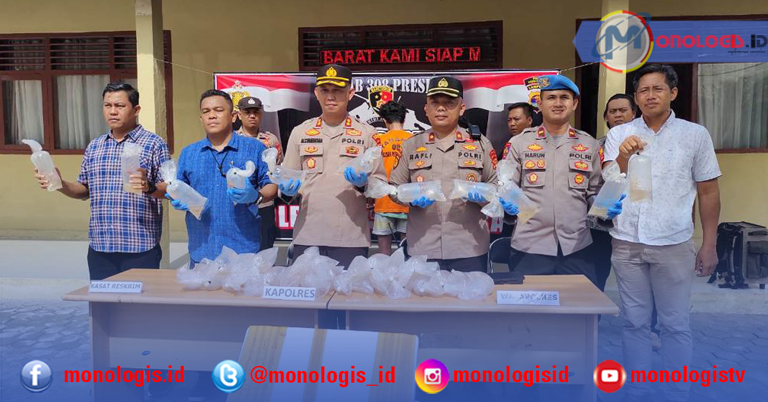 Bekuk Tiga Pengepul, Polres Pesisir Barat Amankan Benur Senilai Rp1,035 Miliar