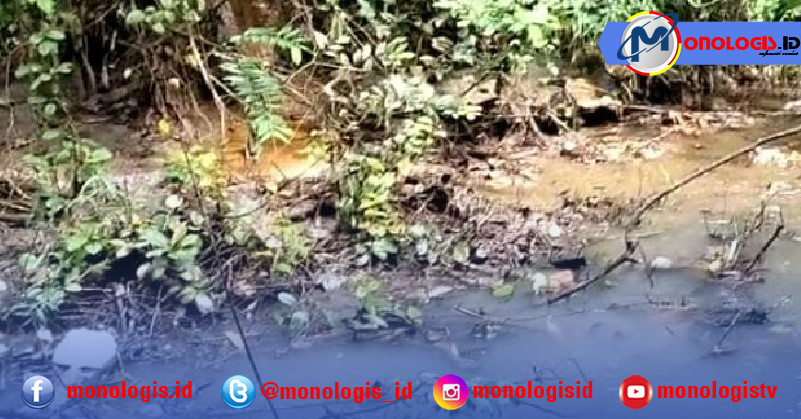 Limbah PT Florindo Makmur Cemari Sungai Gedongdalem