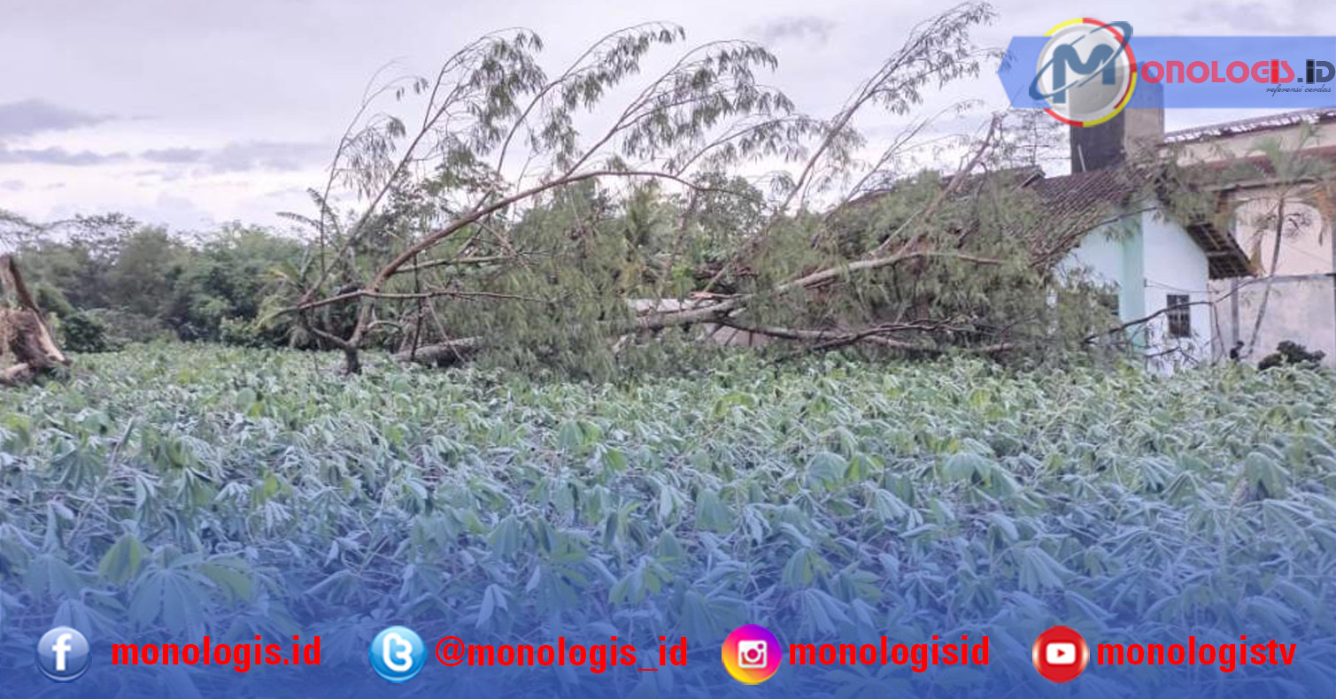 Puting Beliung Terjang Waypengubuan Lampung Tengah, Sejumlah Rumah Rusak