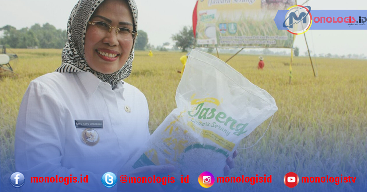 Bupati Serang Raih Satyalancana Wira Karya dari Presiden