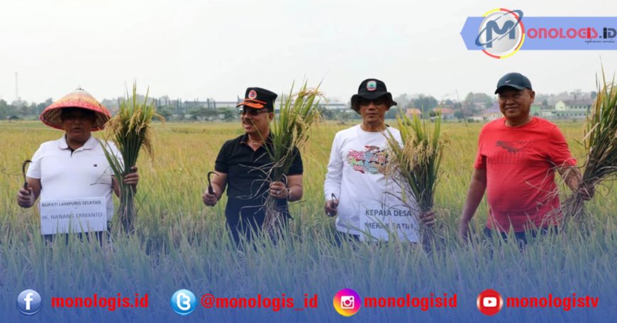 Bupati Lampung Selatan Panen Raya di Natar
