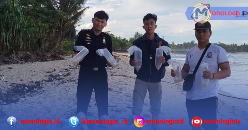 Polres Pesisir Barat Tetapkan Dua Tersangka Baru Penyelundupan Benih Bening Lobster