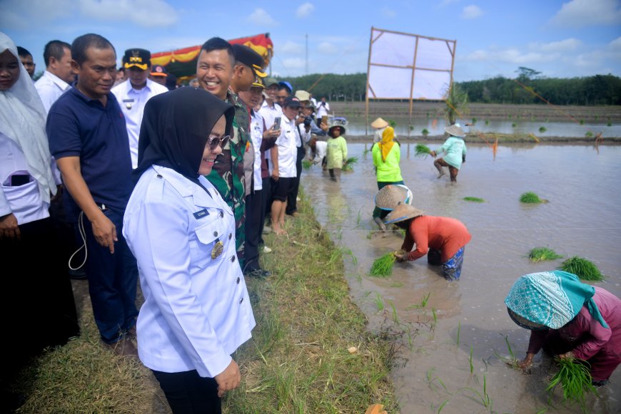 Mesuji Jadi Salah Satu Lokasi Tanam Padi Serentak 14 Provinsi