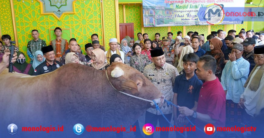 Gubernur Lampung Serahkan Bantuan Sapi Kurban dari Presiden RI