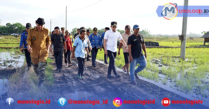 Bupati Lampung Selatan Tinjau Lokasi Pertanian Modern Desa Trimomukti