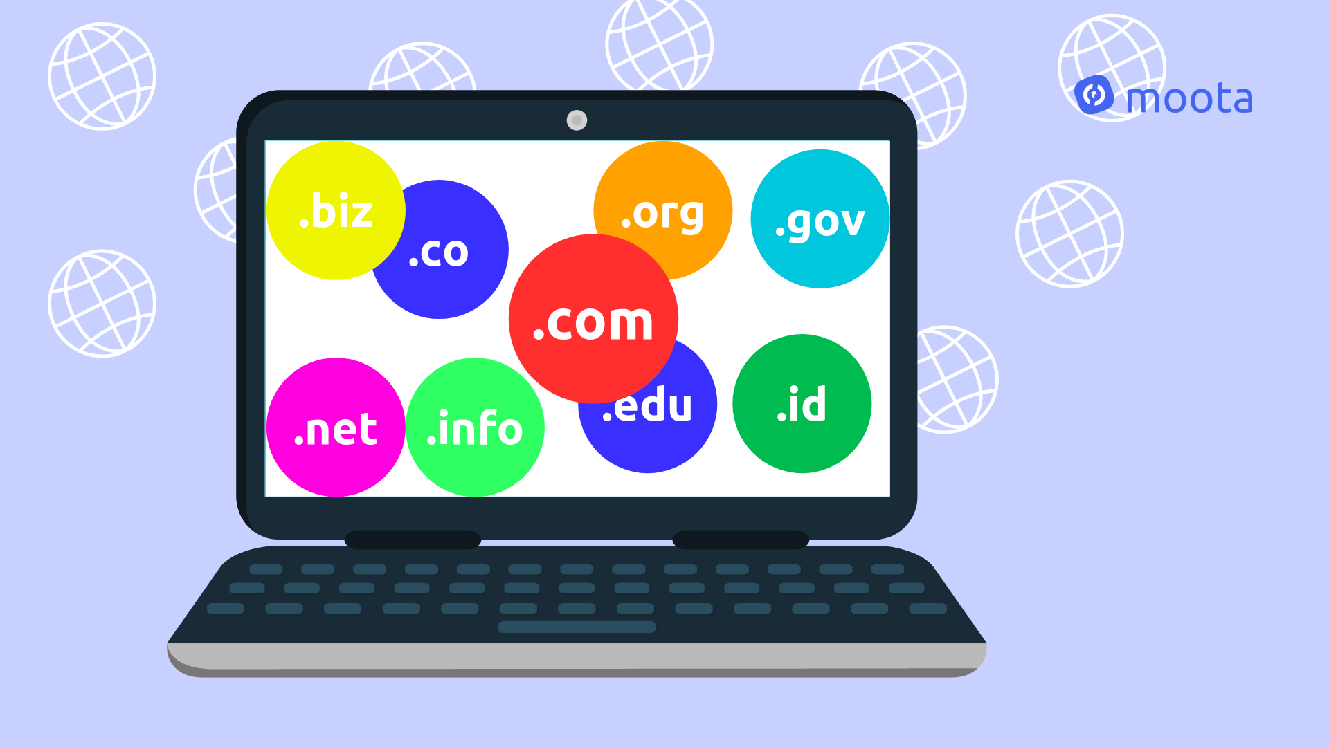 tentukan domain website