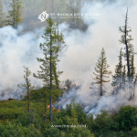 Smart IoT Sensors Revolutionizing Forest Fire Monitoring: Enhancing Early Detection and Rapid Response Canva