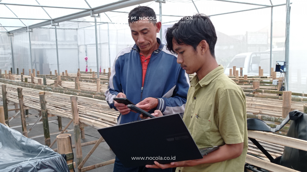 Conventional Potato Cultivation