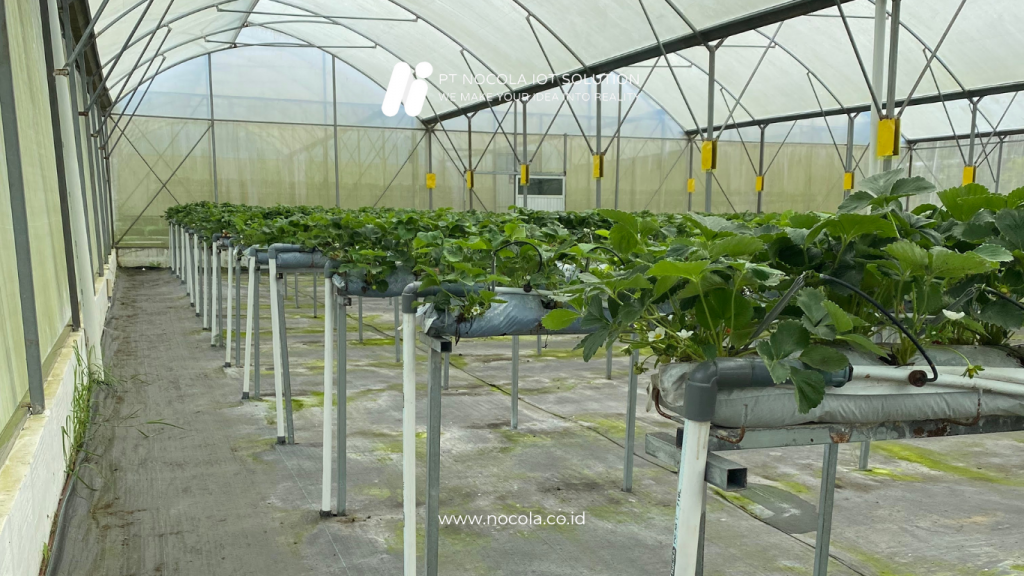 IoT Components in Hydroponics