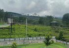 Wisata Goalpara Tea Park Sukabumi, Liburan Keluarga Dengan Keindahan Alam Dan Kebun Teh