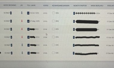 Dirut PLN dan Keluarga Naik GA 0716 Plesiran ke Australia Saat Siaga Nataru, Perjalanan Dinas Fiktif Mencuat