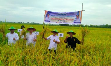 *Hadiri Panen Raya Padi Wabup Saefudin S.H.Dukung Program Ketahanan Pangan*