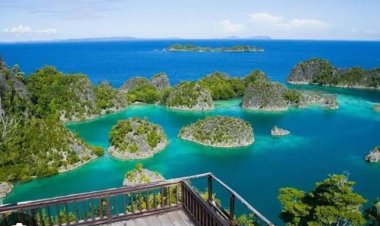 *Perusak Lingkungan Wajib Diperiksa Dokter Jiwa dan KPK?*