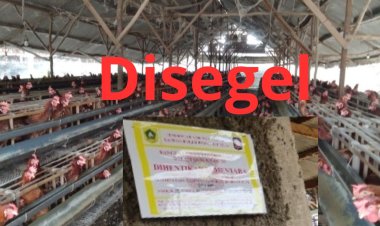 Masyarakat Apresiasi Kinerja Satpol PP Kabupaten Bogor Yang Gercep Merespon Aduan