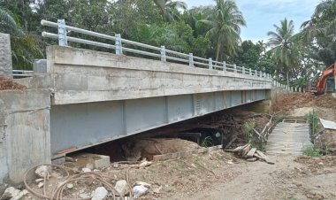 Dana Jalan Dialihkan ke Jembatan?