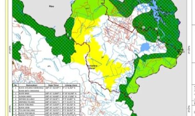 Diduga Hutan di Sumbar Riau Gundul dan Diperjual Belikan, Masuk Kawasan Lindung