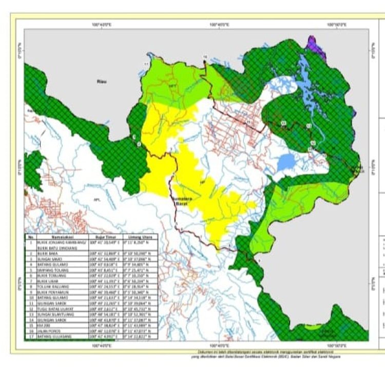 Diduga Hutan di Sumbar Riau Gundul dan Diperjual Belikan, Masuk Kawasan Lindung