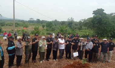 Kolaborasi Jemaat Muslim Ahmadiyah Indonesia ,ICRP,Yayasan Alam Lestari Bersama Kemenhut RI Penanaman 100.000 Bibit Pohon