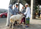 Wujud Syukur Dandim 0608/CJR, 7 Ekor Lambing Diserahkan Sebagai Hewan Qurban