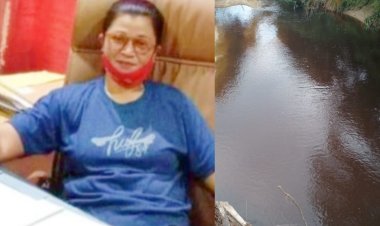 Korwil DPN YLFHI Dra.Ariani,S.H : Pemerintah Daerah Kuansing dan KLHK Kenapa Tutup Mata dengan Pelanggaran PT.TAL