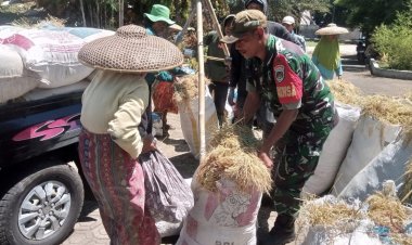 Babinsa Koramil 2212/Tegalbuleud Laksanakan Pendampingan Hanpangan di Desa Bangbayang