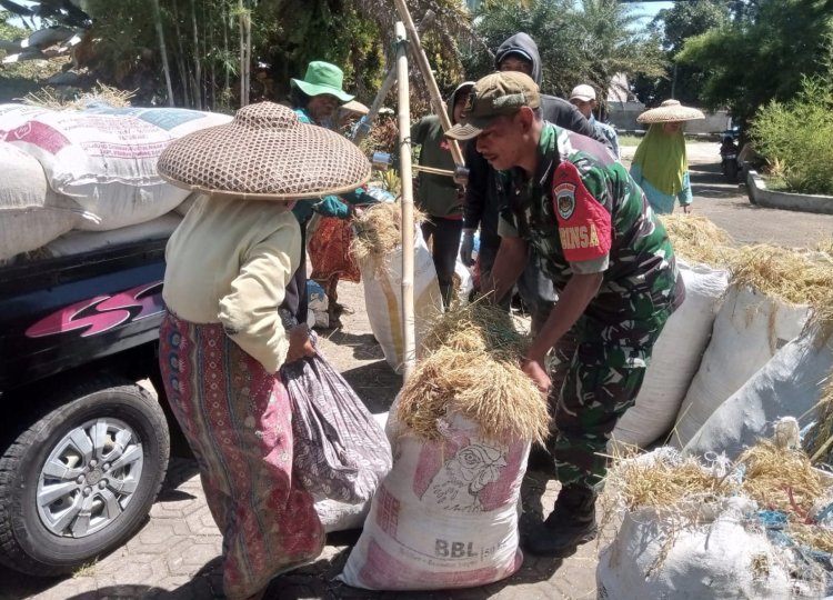 Babinsa Koramil 2212/Tegalbuleud Laksanakan Pendampingan Hanpangan di Desa Bangbayang