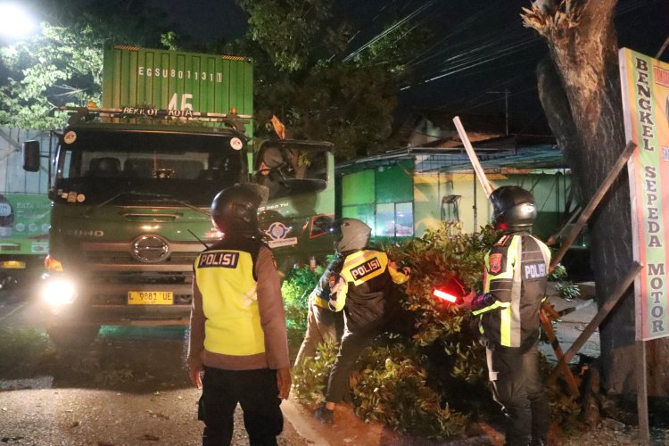 Respon Cepat; Polresta Banyuwangi Lakukan Evakuasi Pohon Tumbang Di Jalan Wilayah Kalipuro