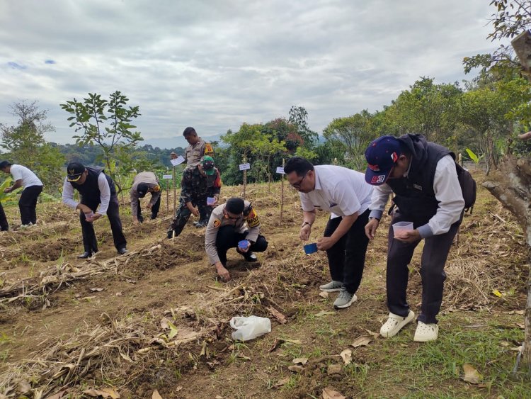 Polsek Caringin Polres Bogor Gelar Penanaman Jagung Dukung Swasembada Pangan