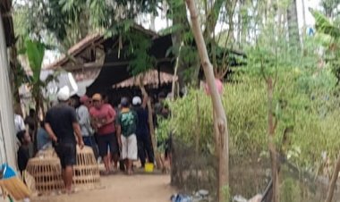 KALANGAN SABUNG AYAM DI KALIPURO DI DUGA ADA BACKUP DARI OKNUM WARTAWAN