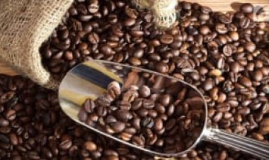 Daftar Negara Tujuan Utama Ekspor Nonmigas Indonesia hingga September 2025