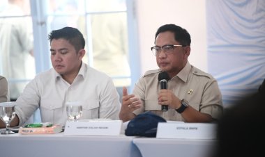 *Mendagri Minta Kepala Daerah Optimalkan Peran Keuchik Percepat Pendataan Kerusakan Hunian Pascabencana*