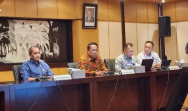 Pasal serang martabat presiden di KUHP   Delik aduan, tutup celah relawan
