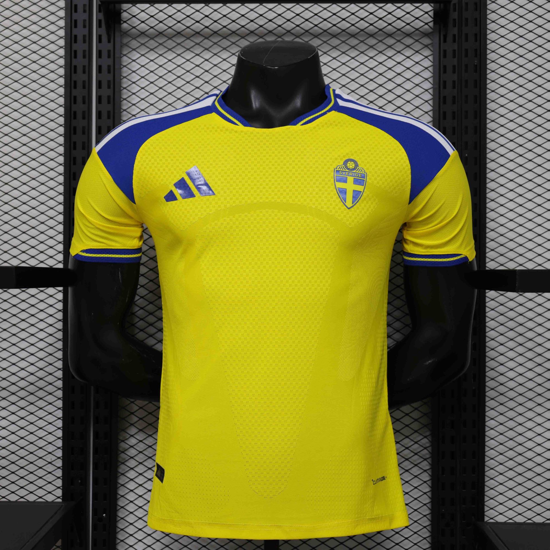 Swedia