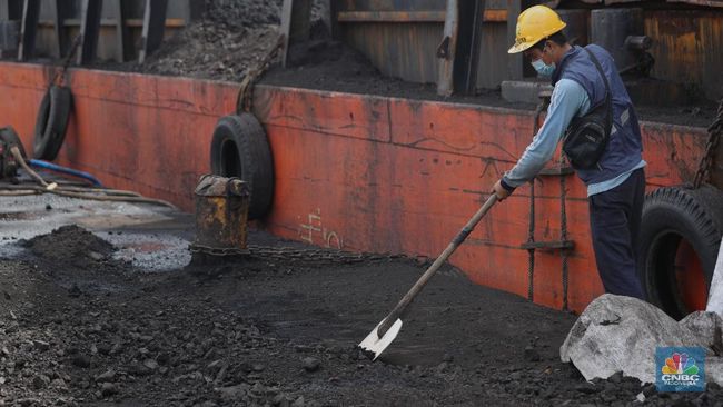 Harga Batu Bara Anjlok: Peluang atau Ancaman Investasi Energi?