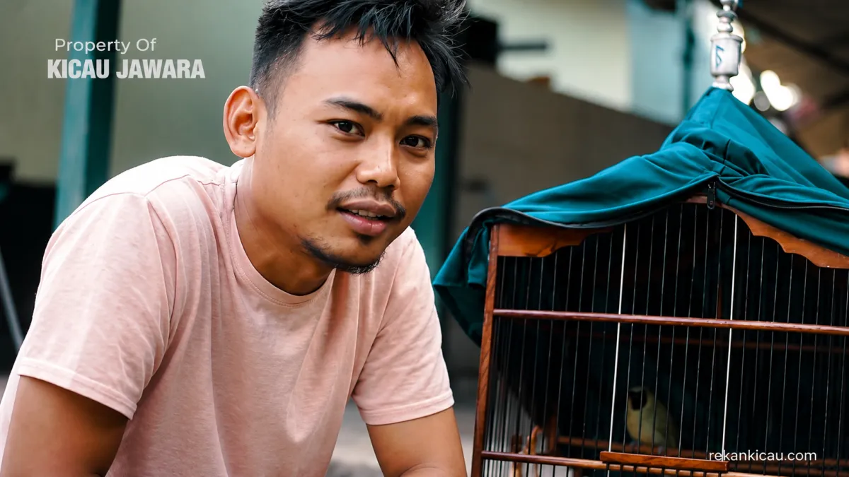 TADINYA TIDAK TERAWAT , SAMPAI AKHIRNYA CUCAK IJO INI BISA KAYA GINI