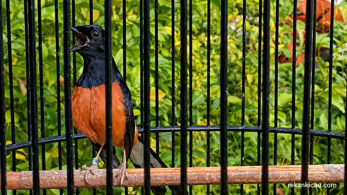 Pemberian Extra Fooding (EF) Agar Tepat Sasaran